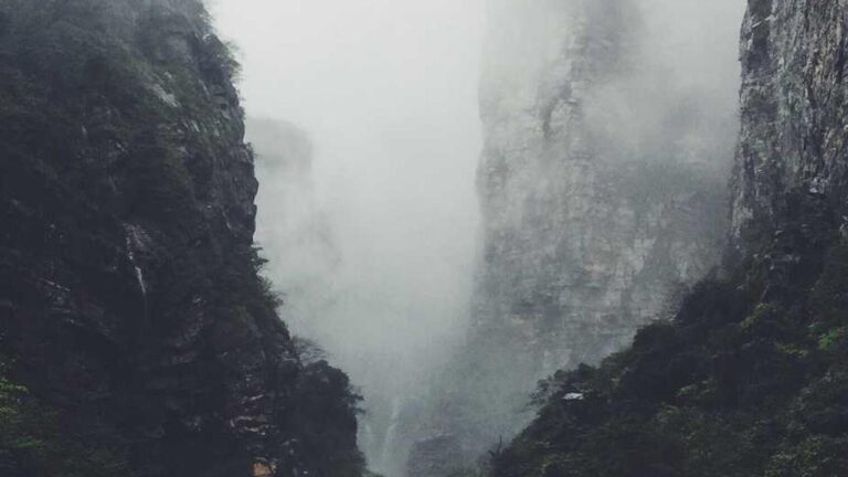 How To Join A Cricket Match On 11Xplay?